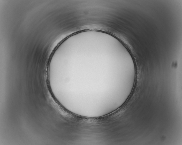 X0000112541040200909141307
