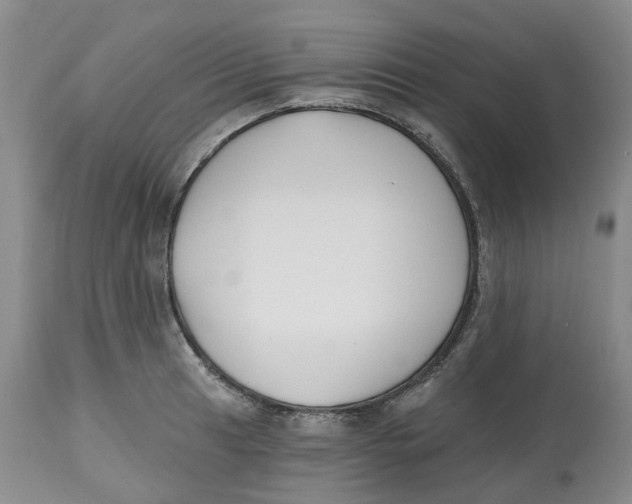X0000112541041200909141307