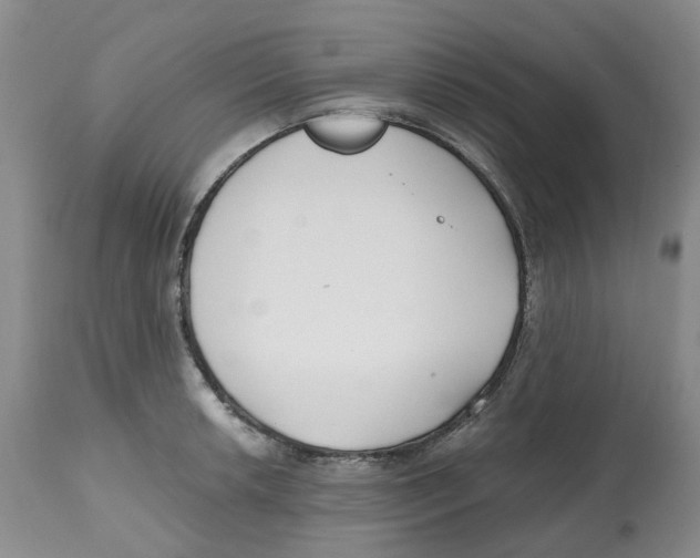 X0000112541042200909141307