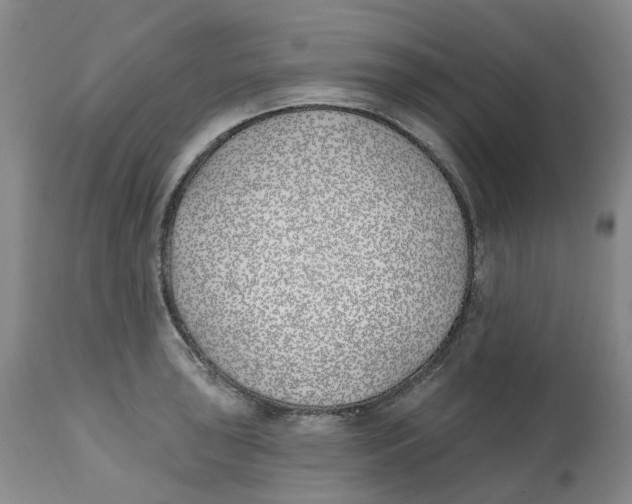 X0000112541043200909141307