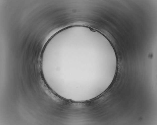 X0000112541044200909141307