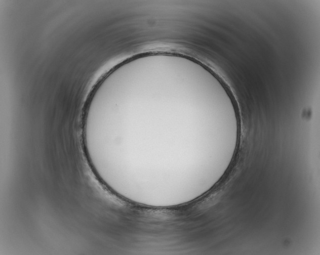 X0000112541045200909141307