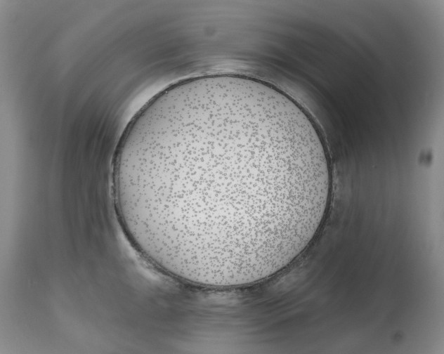 X0000112541047200909141307