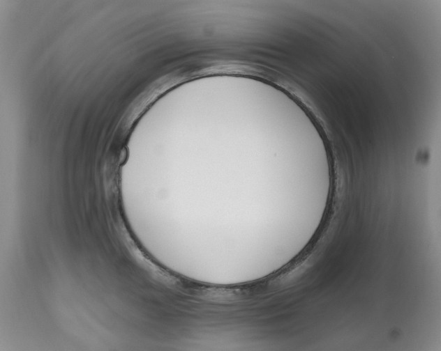 X0000112541049200909141307
