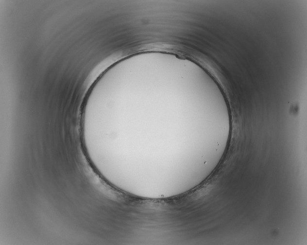 X0000112541050200909141307