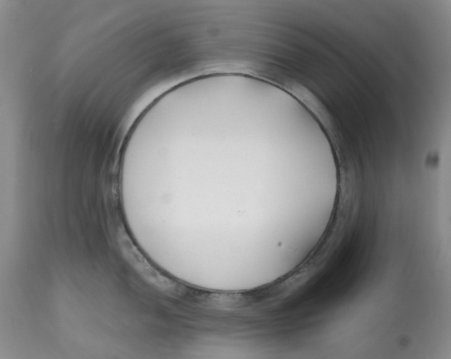 X0000112541052200909141307