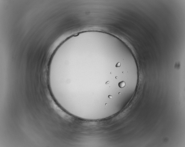 X0000112541054200909141307