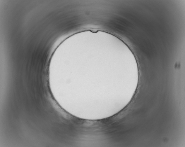 X0000112541056200909141307