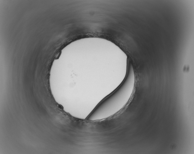X0000112541057200909141307