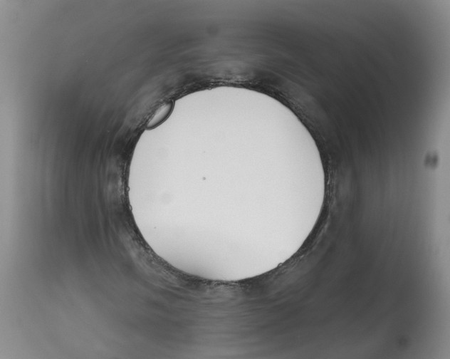 X0000112541058200909141307