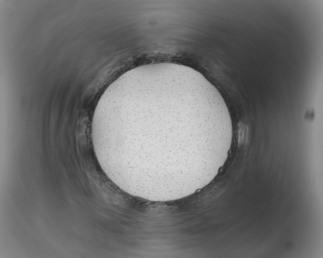 X0000112541059200909141307
