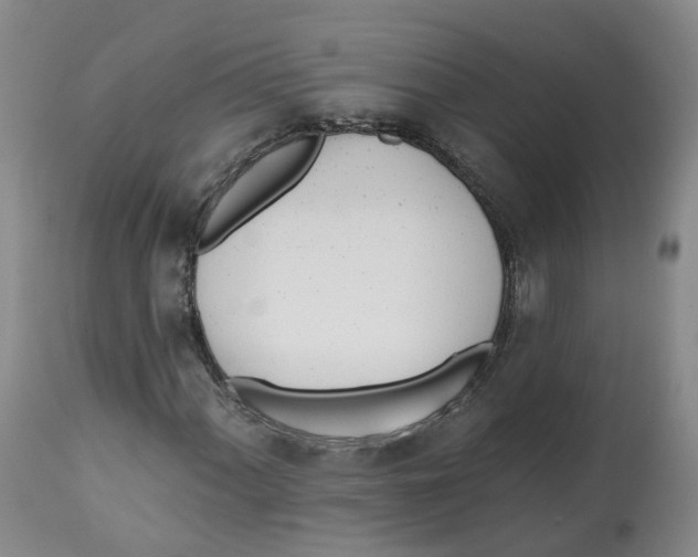 X0000112541060200909141307