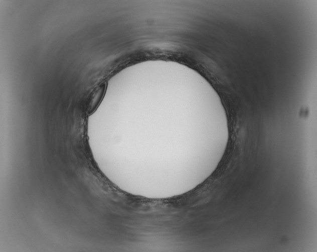 X0000112541061200909141307