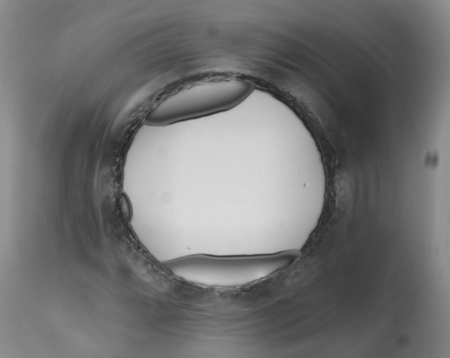 X0000112541064200909141307