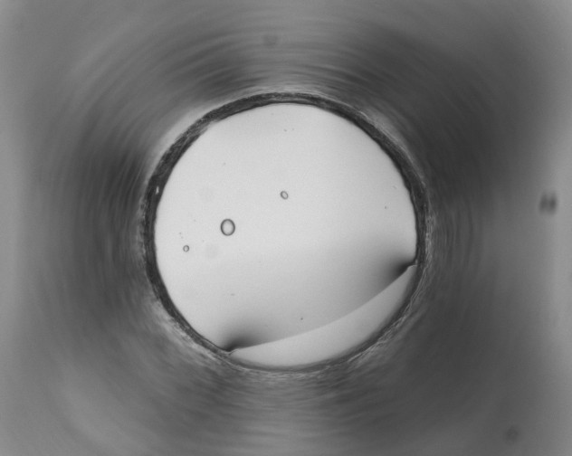 X0000112541068200909141307