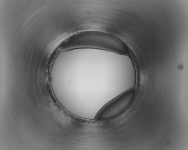 X0000112541069200909141306