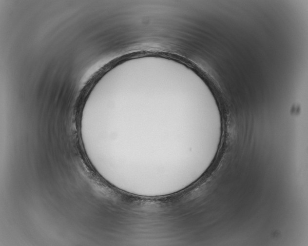 X0000112541070200909141306