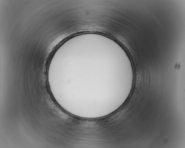 X0000112541071200909141306