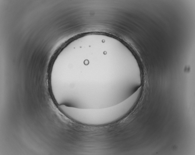 X0000112541072200909141306