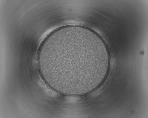 X0000112541074200909141306