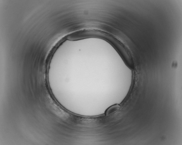 X0000112541076200909141306