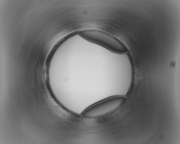 X0000112541080200909141306