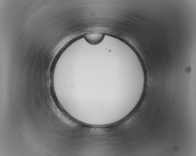 X0000112541082200909141306