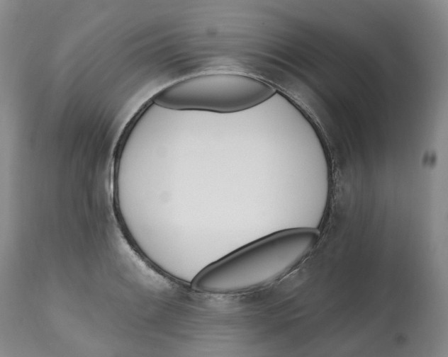 X0000112541084200909141306