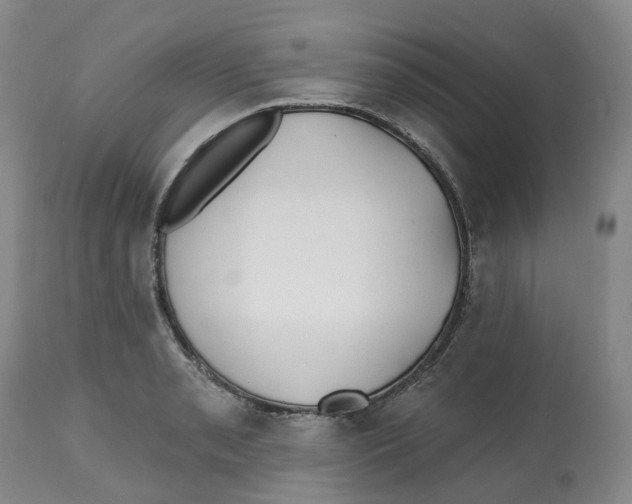X0000112541085200909141306