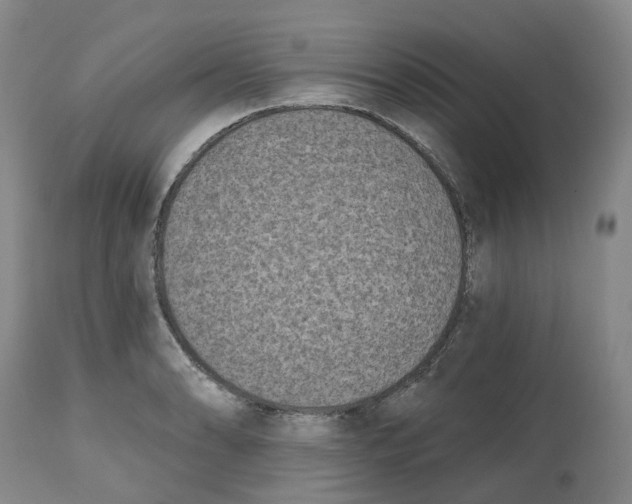 X0000112541086200909141306