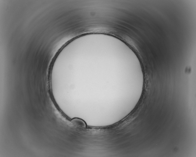 X0000112541087200909141306
