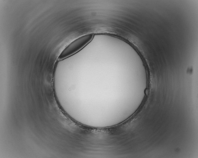 X0000112541089200909141306