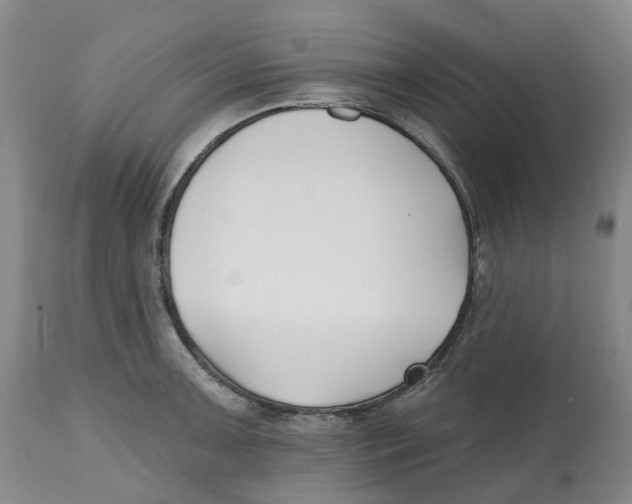 X0000112541091200909141306