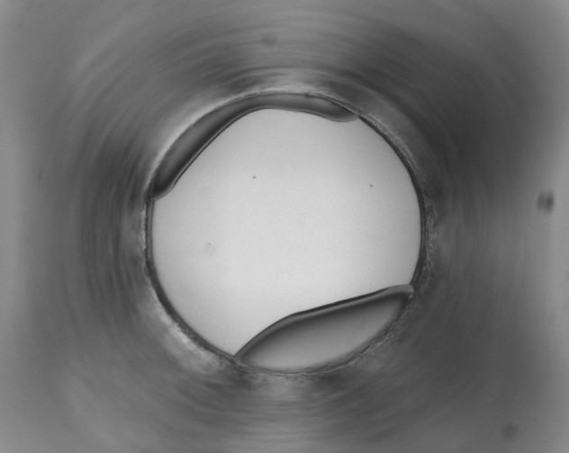 X0000112541092200909141306