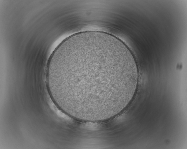 X0000112541094200909141306