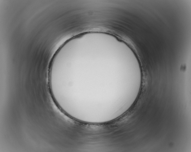X0000112541095200909141306