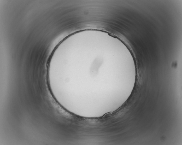 X0000112541096200909141306