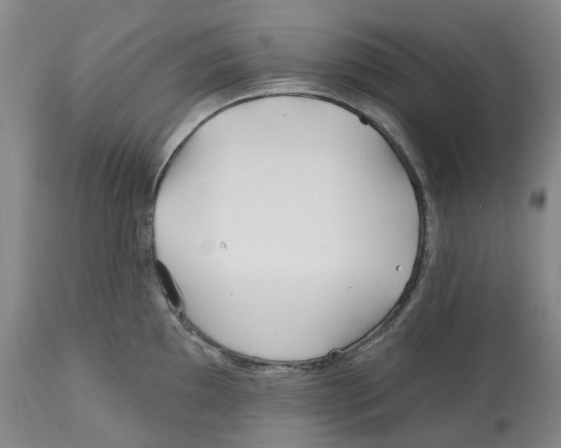 X0000112541097200909141306