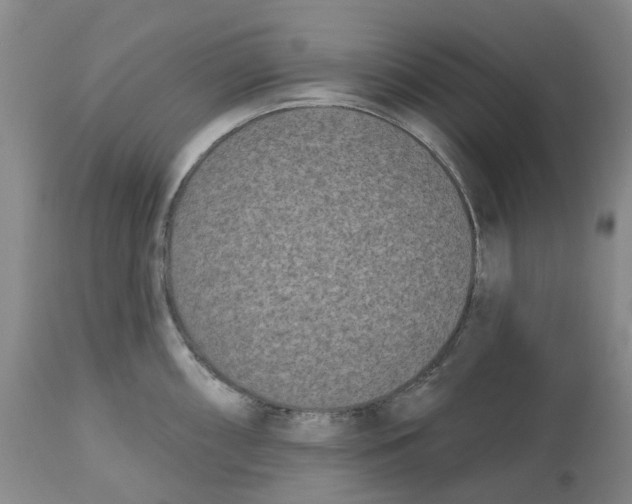 X0000112541098200909141306