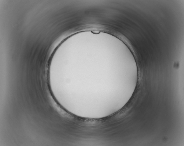 X0000112541099200909141306