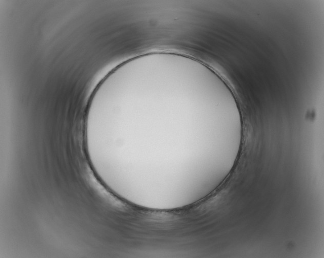 X0000112541100200909141306