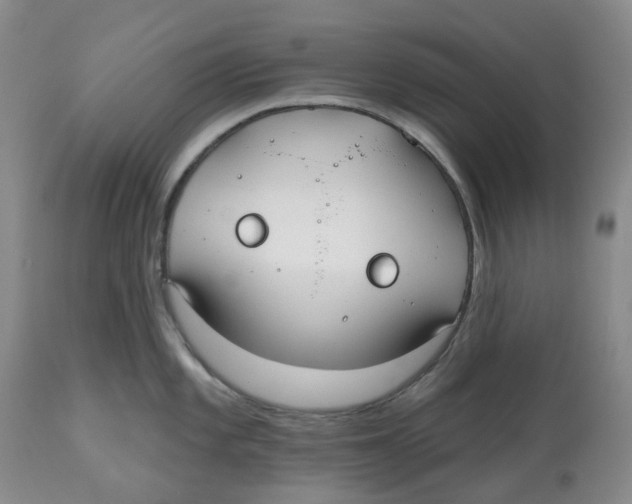 X0000112541101200909141306