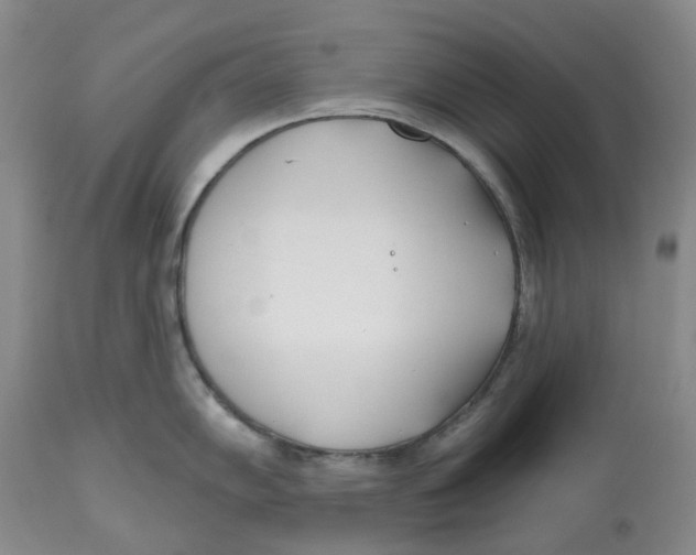 X0000112541102200909141306