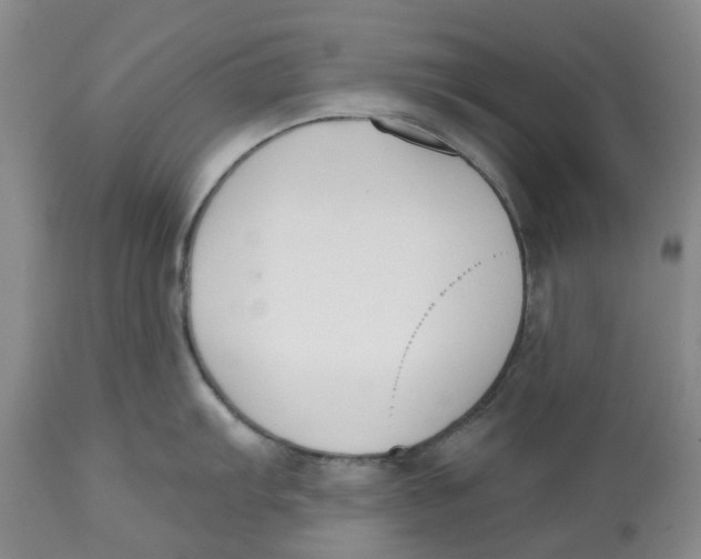 X0000112541103200909141306