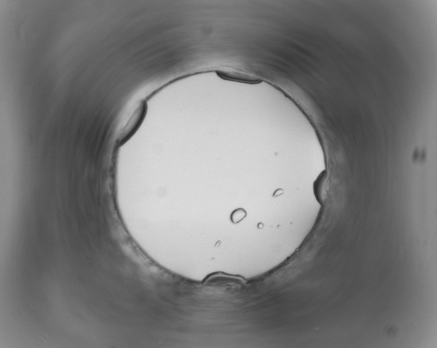X0000112541104200909141306