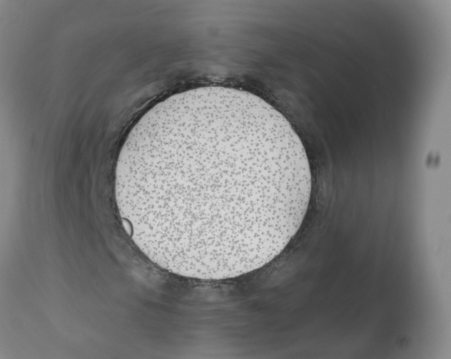 X0000112541105200909141305