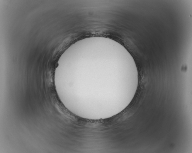 X0000112541106200909141305