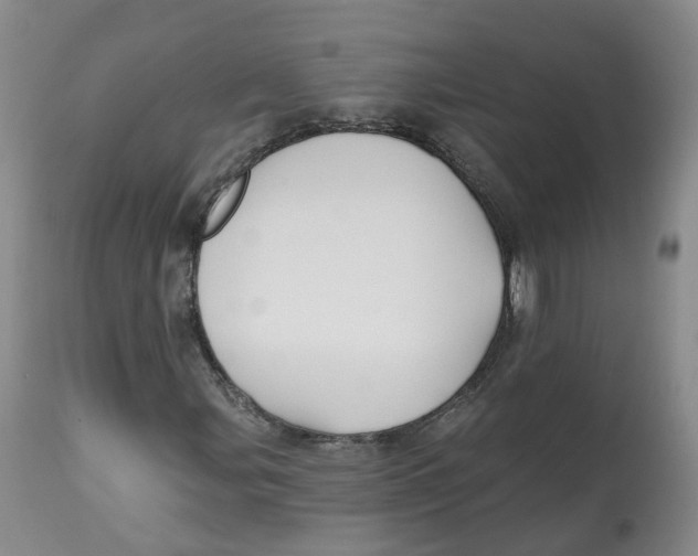 X0000112541107200909141305