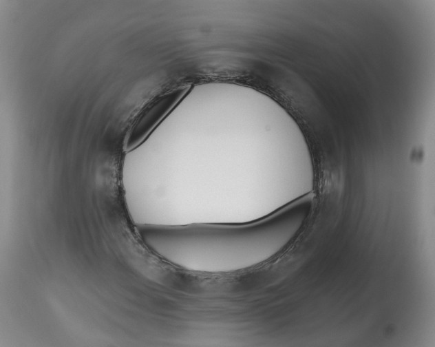 X0000112541108200909141305