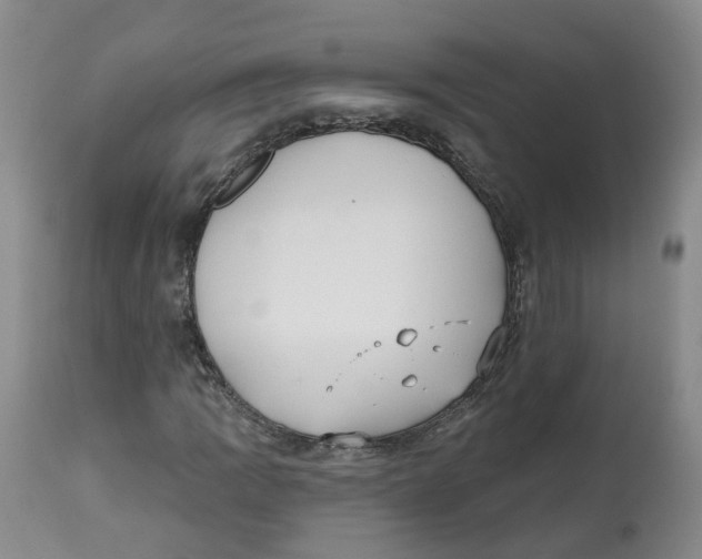 X0000112541109200909141305